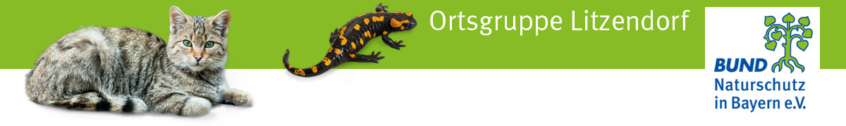 Heimat lieben heißt Natur schützen